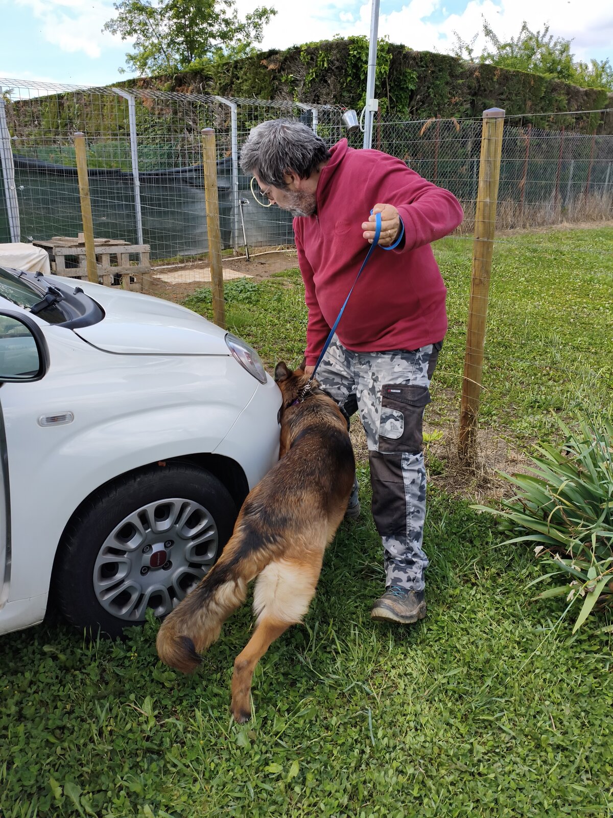 Dalla pratica alla gara, ogni cane può raggiungerlo.
